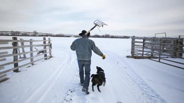 Farmer 