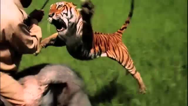 This Is Nat Geo Brand Film 